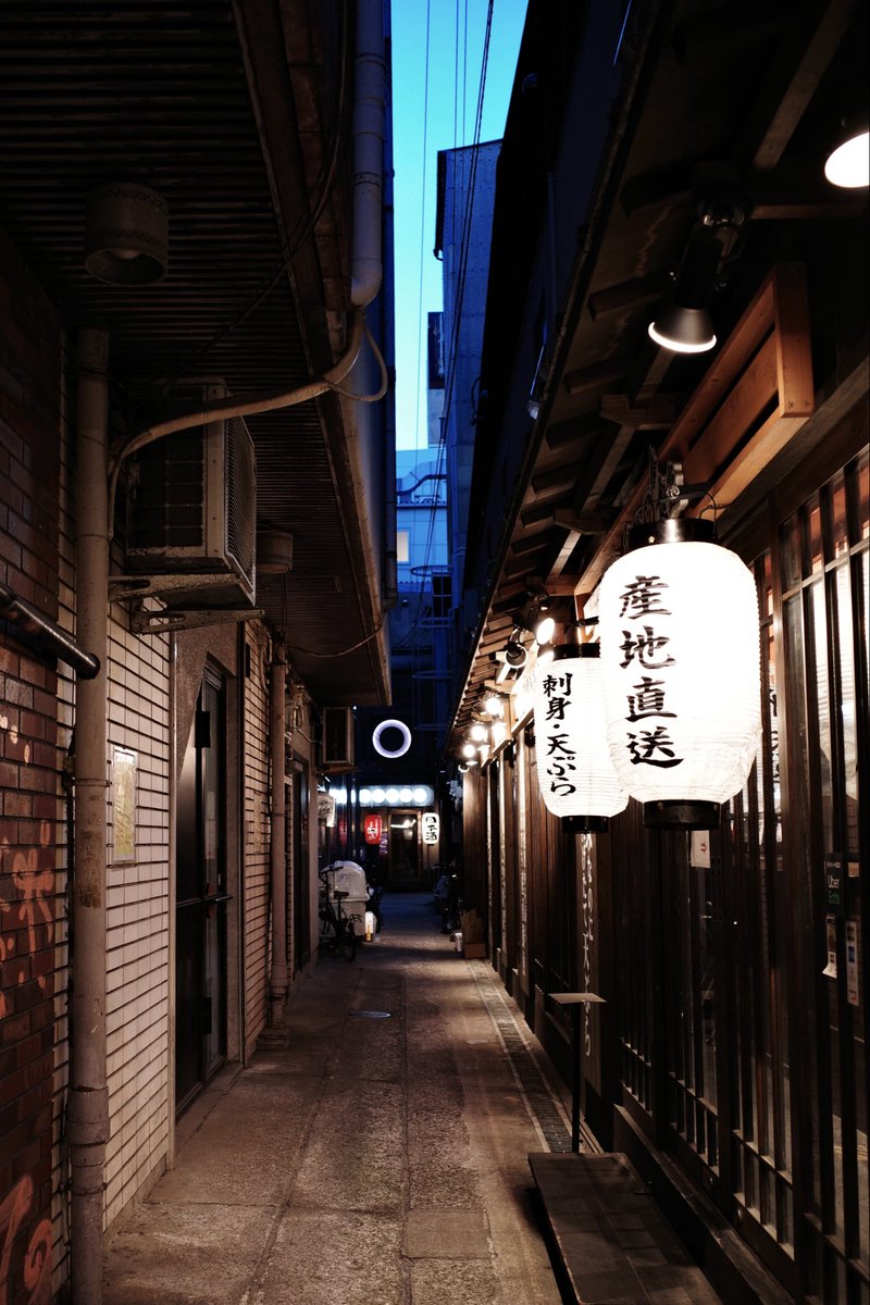 ねこぱんち tweet media