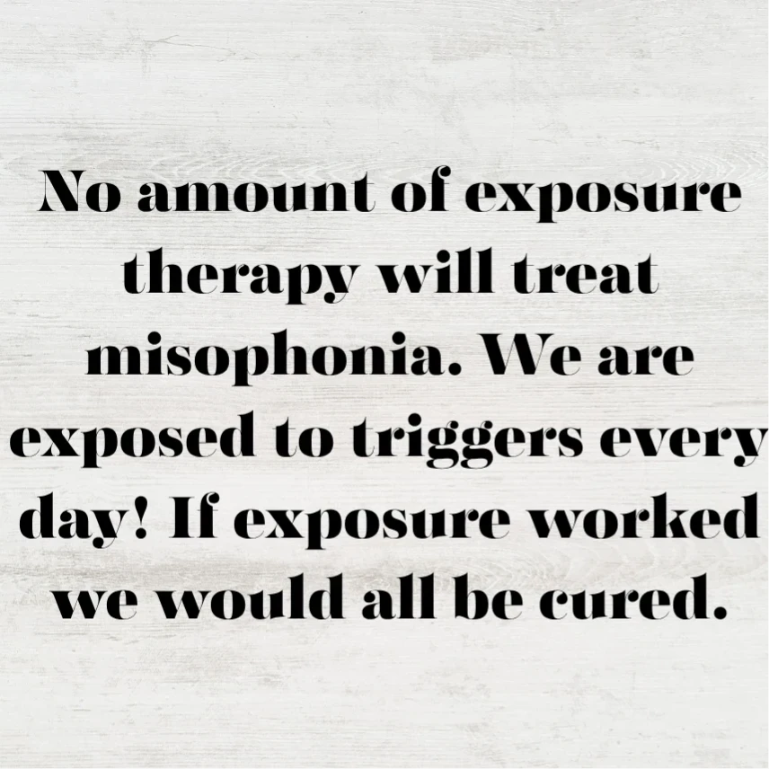 Misophonia International tweet media