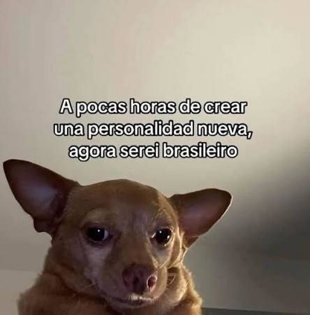Bom dia a todos os ratinhos! Como vocês estão?