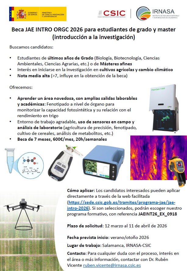 Rubén Vicente tweet media