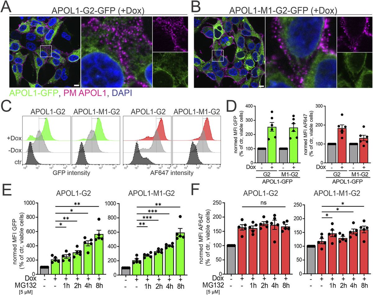 LifeScienceAlliance tweet media