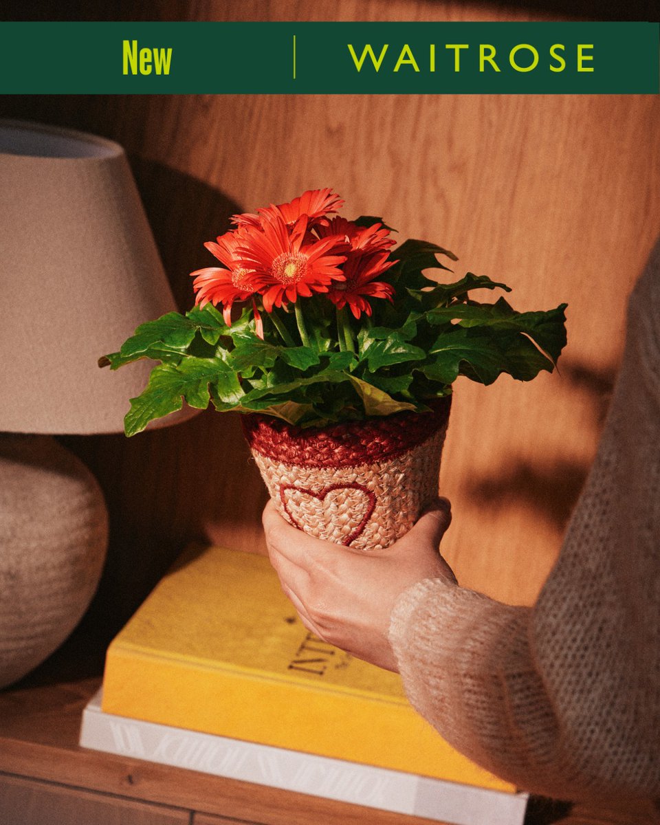 Putney Exchange Shopping Centre tweet media