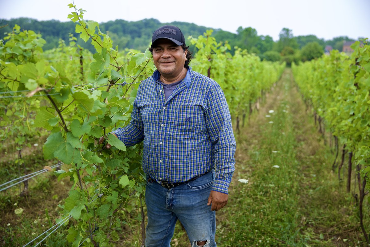 More than a Migrant Worker tweet media