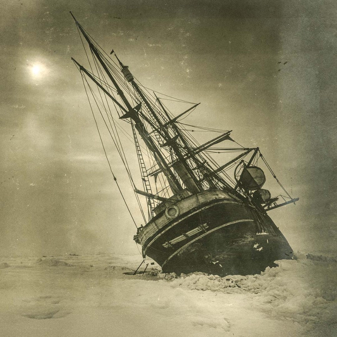 Chef Dr. Mike tweet media