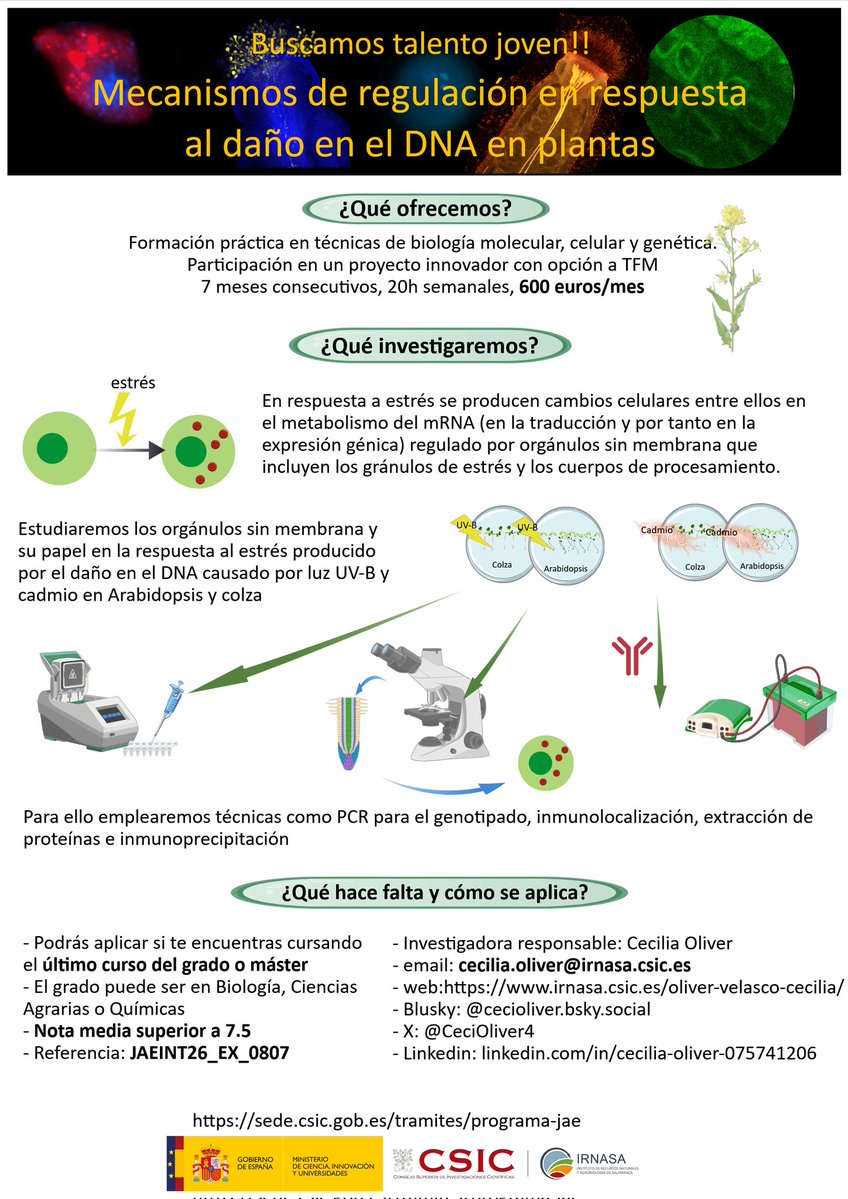 Ceci Oliver tweet media