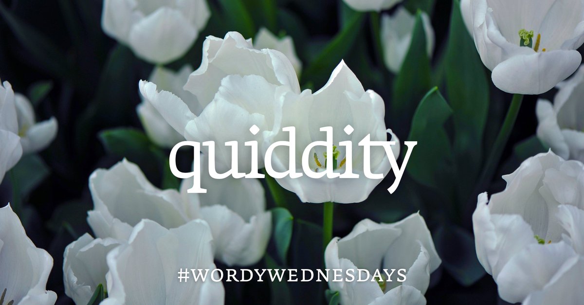 Collins Dictionary tweet media