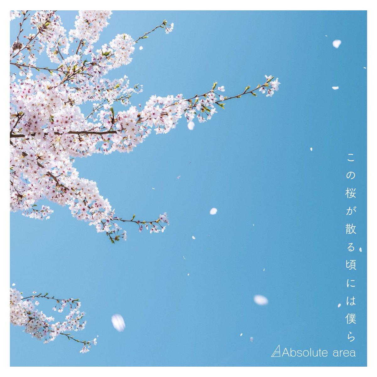 absolute_area_'s tweet photo. 【新曲リリース情報解禁🌸】

当たり前だった日々が、
当たり前じゃなくなる春。
別れの季節に寄り添う一曲。

『この桜が散る頃には僕ら』

2026.3.25(水) 配信リリース決定！
▼配信リンクはこちら
https://t.co/o7dkoaW5oZ
※各配信ストアへのリンクは、リリース日以降に順次反映されます。

#Absolutearea
#アブソ
#この桜が散る頃には僕ら