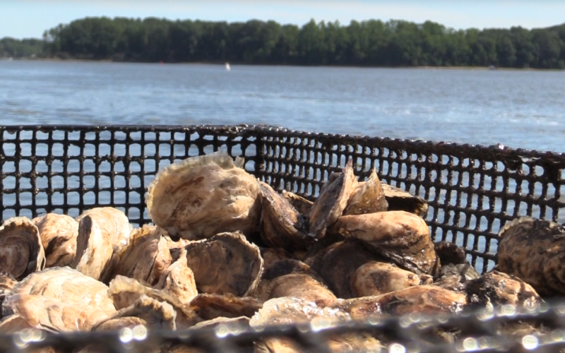 Farm Credit East tweet media