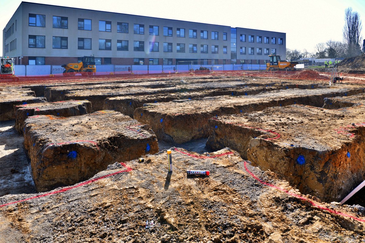 Concertus tweet media