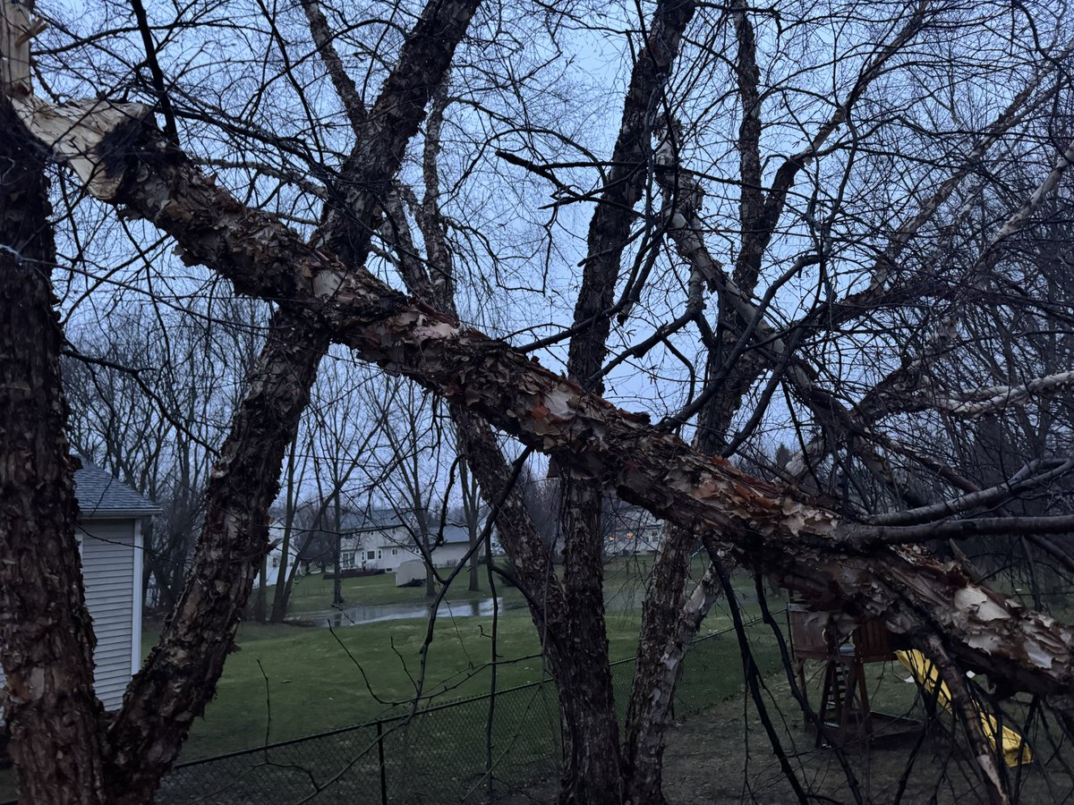 True Vanguard tweet media