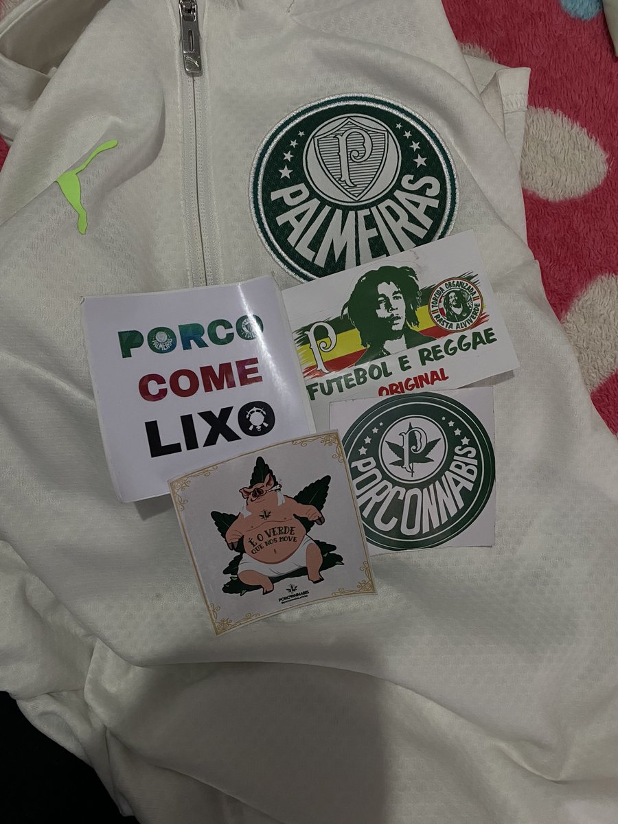 adesivos que ganhei domingo 🫶🏼