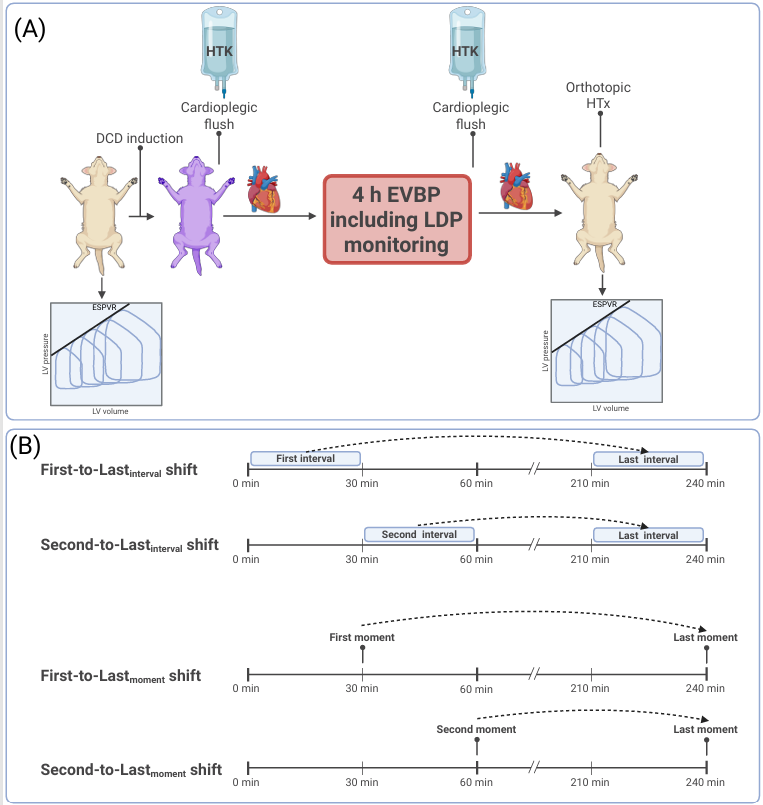 Transplantation tweet media