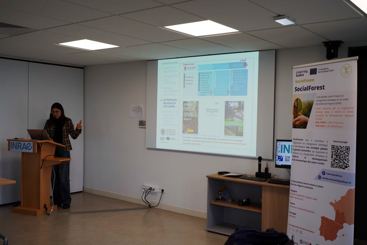 MurciaForestal's tweet photo. Durante la reunión técnica de #SocialForest #InterregSudoe, expertos de 🇪🇸 🇫🇷 🇵🇹 avanzan en la Estrategia Forestal Transnacional y en el seguimiento de las acciones piloto

La #RegióndeMurcia coordina además la gestión transversal y financiera del proyecto 🇪🇺 https://t.co/u6E0SdFQ3i
