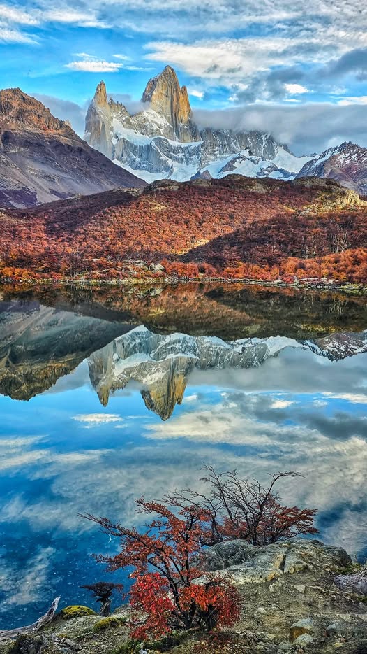 Argentina en Imágenes 🇦🇷 tweet media