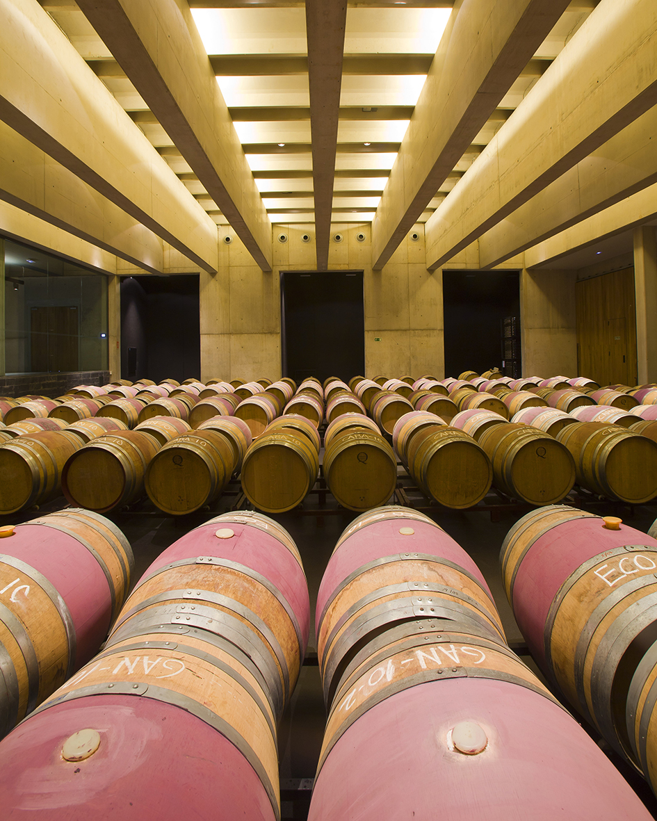 Cuaderno de campo tweet media