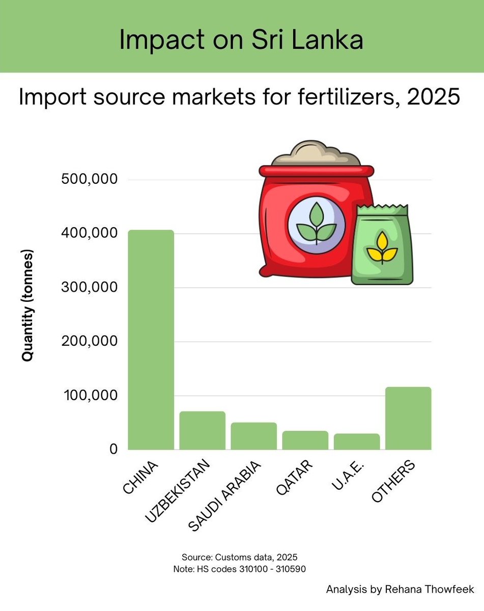 Rehana Thowfeek | Free Palestine 🇵🇸 🇱🇰 tweet media