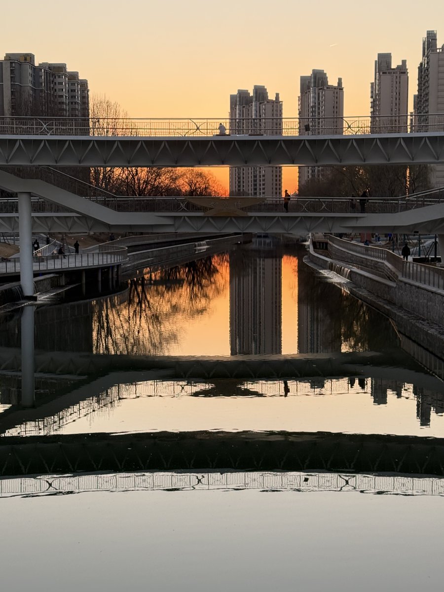 🟨 Kingbit+ tweet media