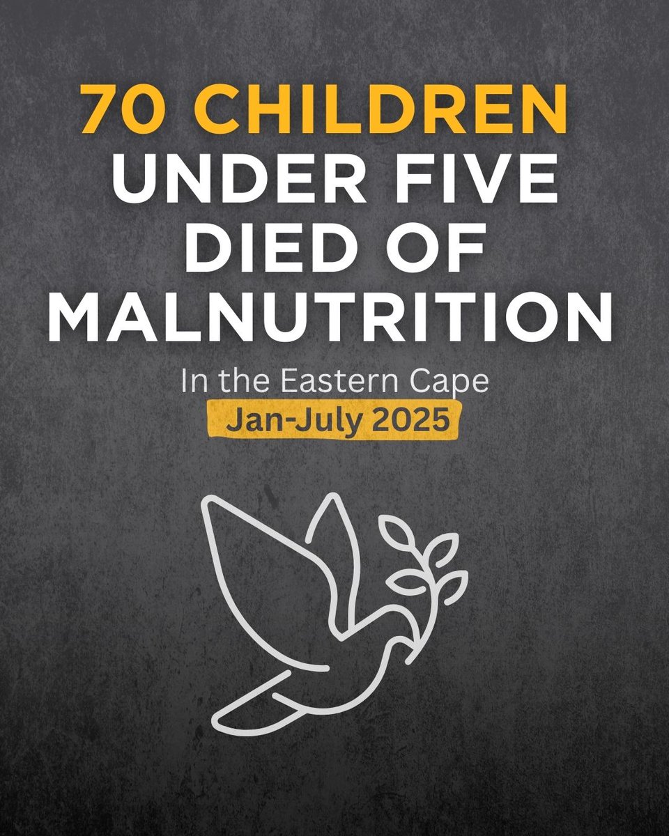 Real Reform for ECD (RR4ECD) tweet media