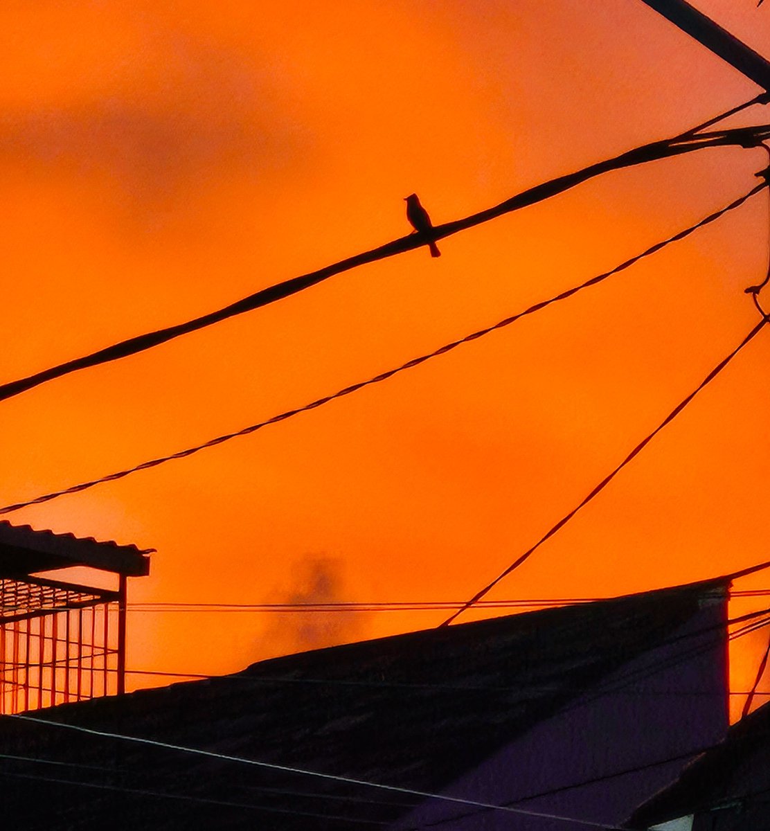 admiring this beautiful negentropy sky today ✨️