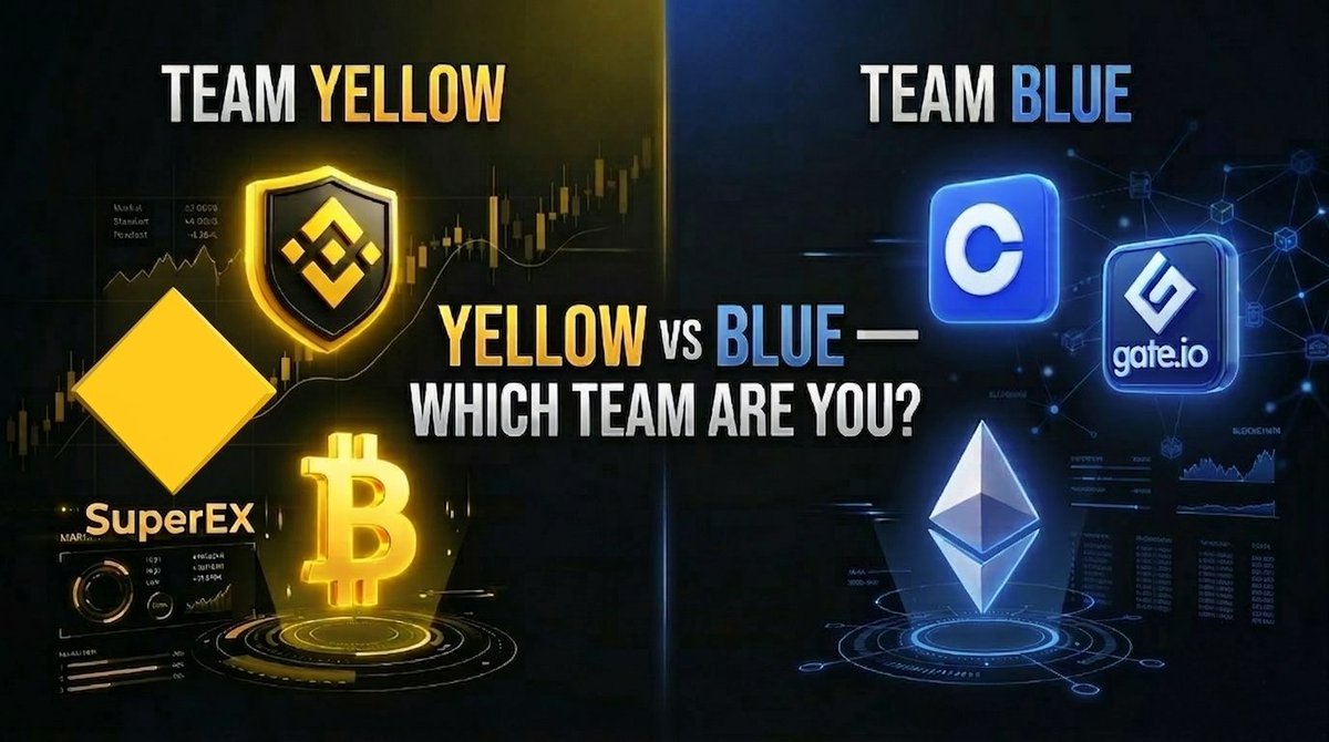 HOODED POOL tweet media