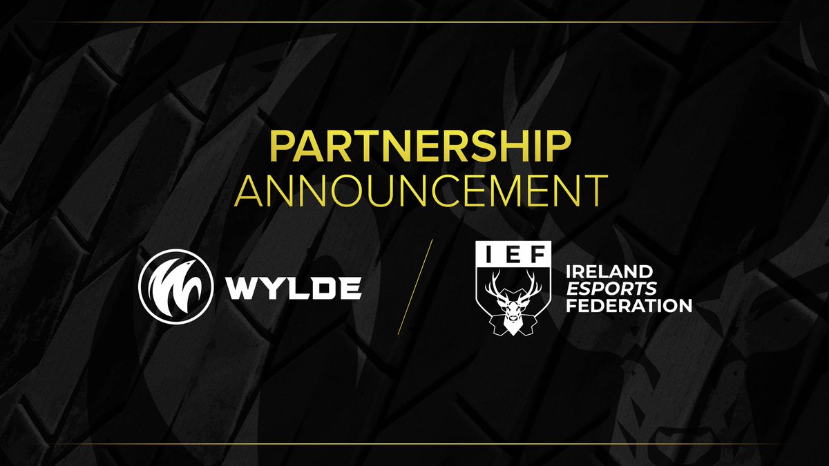 WYLDE⚡️ tweet media