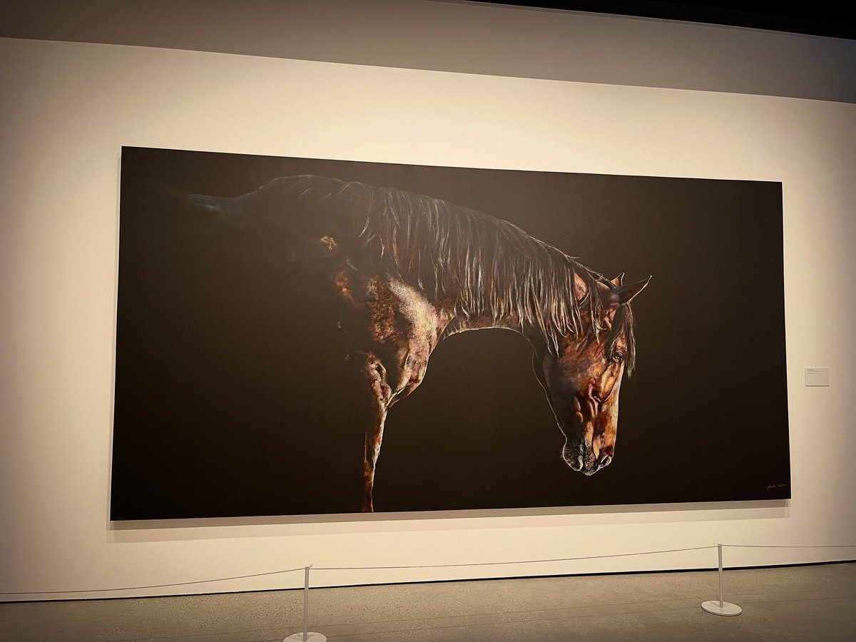 MichaelJPeade's tweet image. Rose Gold, a wonderful exhibition debut by artist Nicole Slater and her lifelong connection to horses.

#RoseGold #GoldCoast #art #exhibition