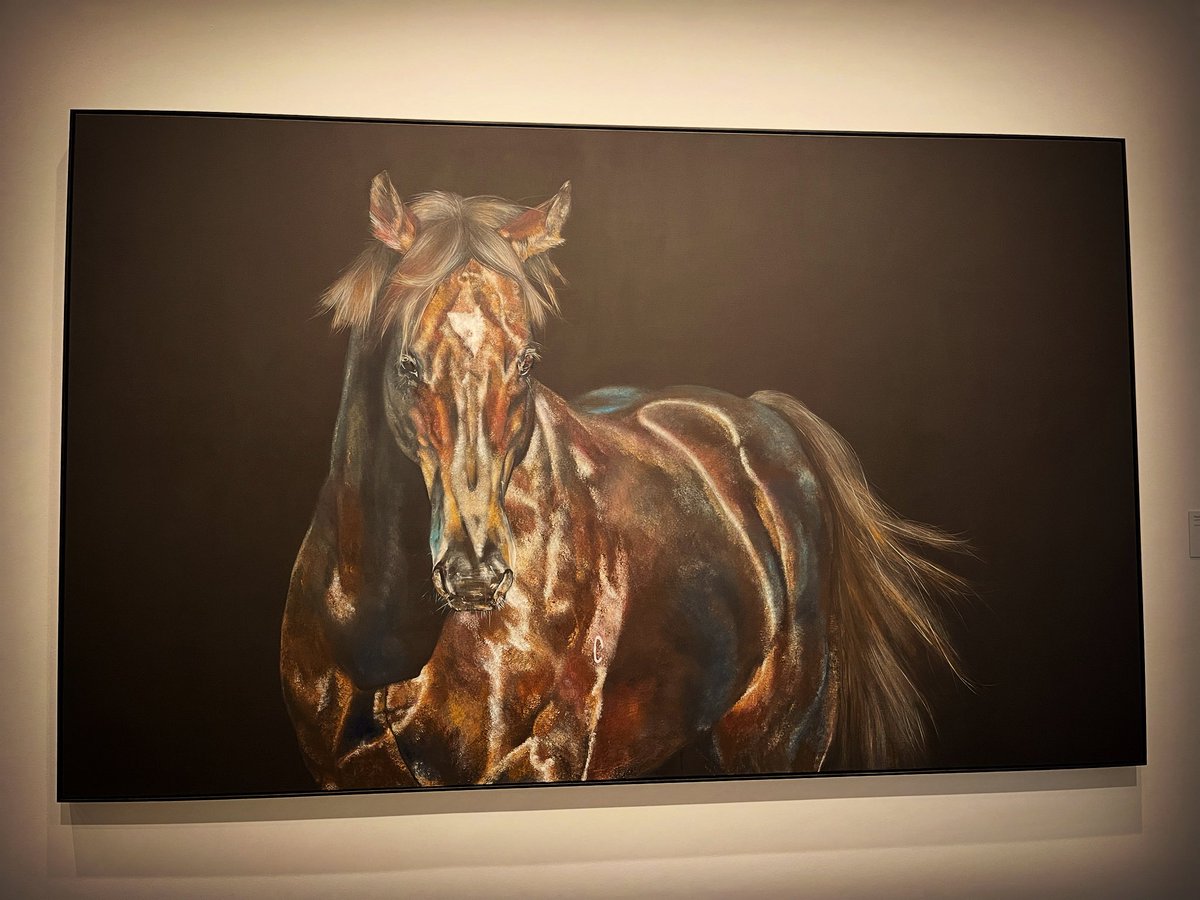 MichaelJPeade's tweet image. Rose Gold, a wonderful exhibition debut by artist Nicole Slater and her lifelong connection to horses.

#RoseGold #GoldCoast #art #exhibition