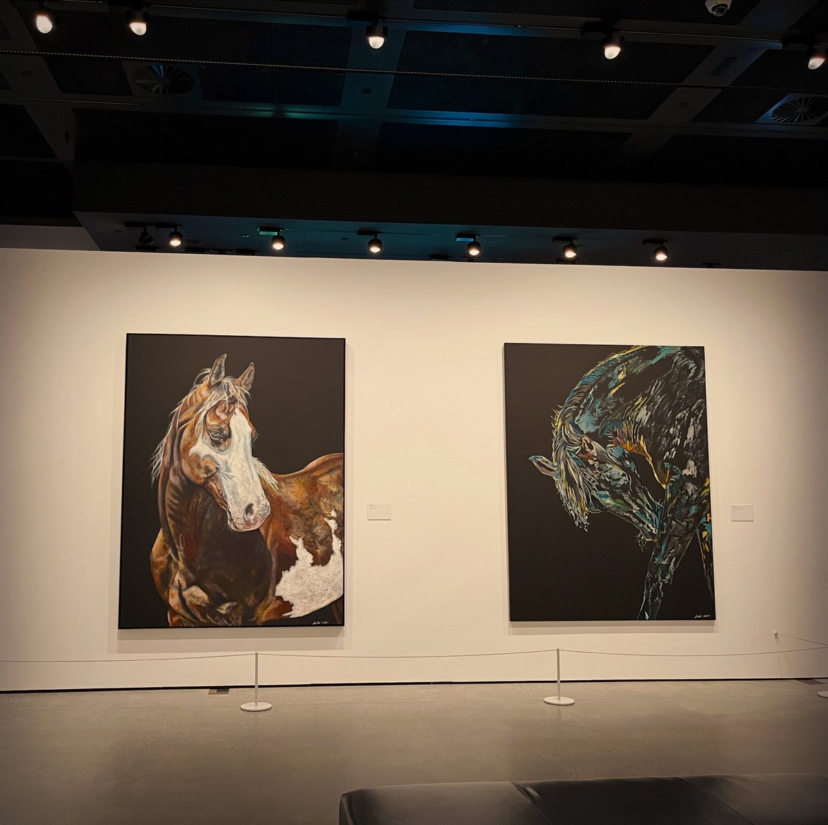 MichaelJPeade's tweet image. Rose Gold, a wonderful exhibition debut by artist Nicole Slater and her lifelong connection to horses.

#RoseGold #GoldCoast #art #exhibition