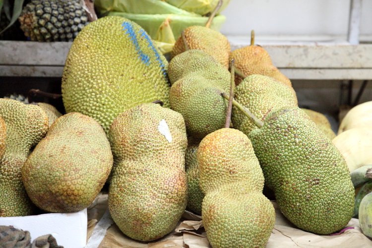 Dave Cook tweet media