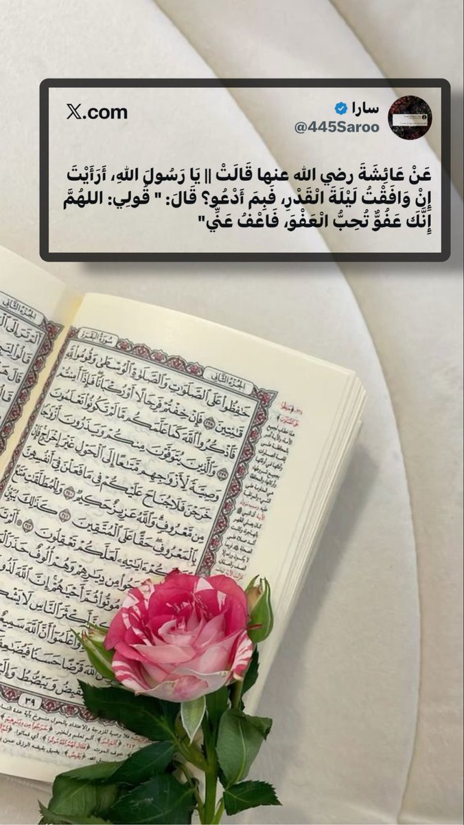 سارا tweet media