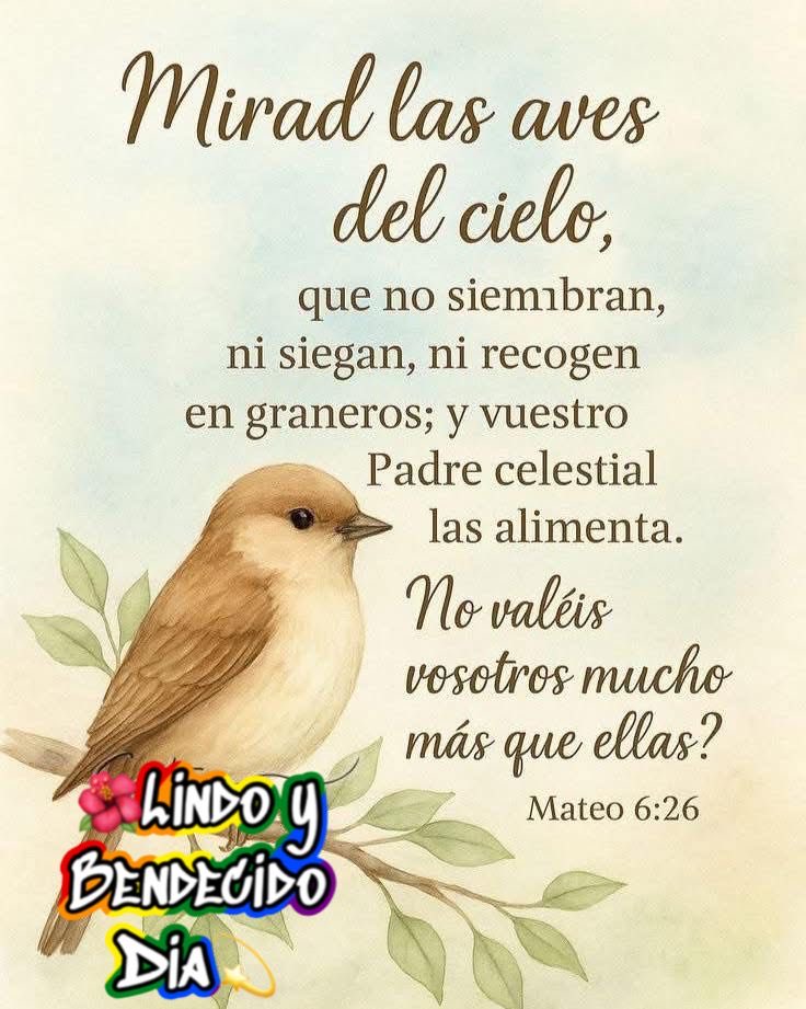 Yenny torres tweet media