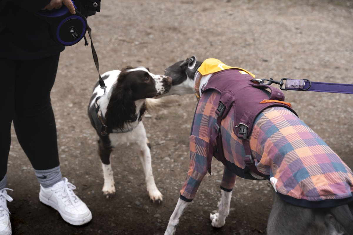 Innotech Digital tweet media