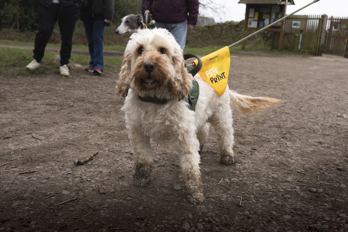 Innotech Digital tweet media