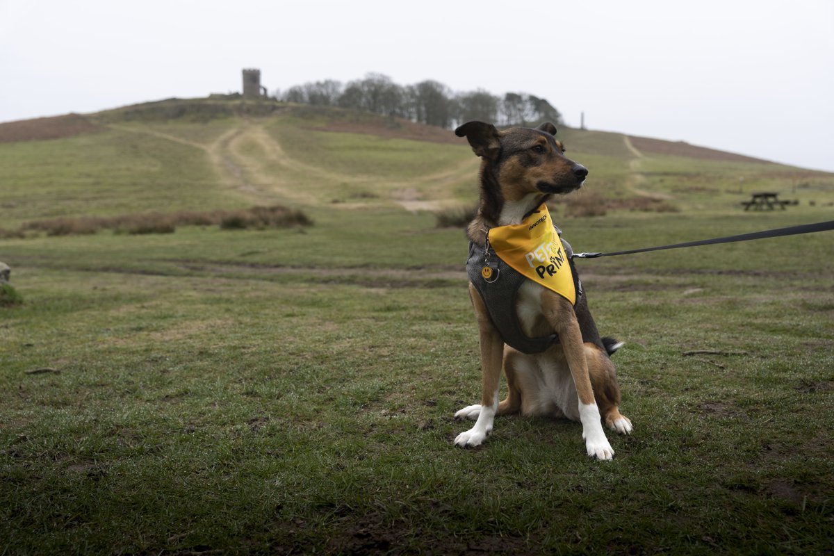 Innotech Digital tweet media