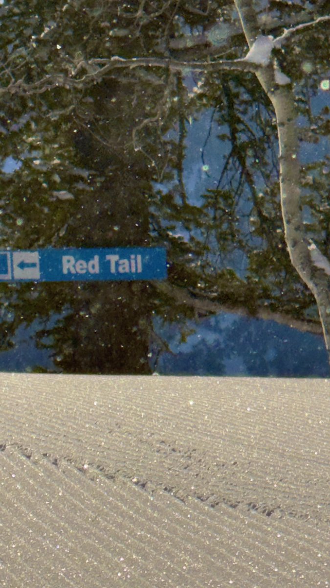 skithebeav's tweet photo. Itβs currently 11 degrees with clear skies at the mountain this morning. Today weβll see more sun with a high around 38 degrees.
β οΈ Donβt forget this Friday is Demo Fest. Come up and check out lots of shiny new gear.
Logan Canyon is mostly bare & dry.
#skithebeav #skiutah https://t.co/r76jTW1IwB