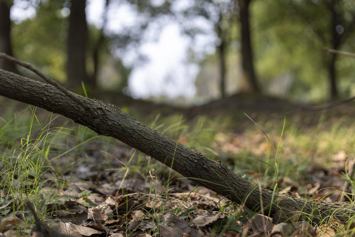 岛民*荒哥 tweet media