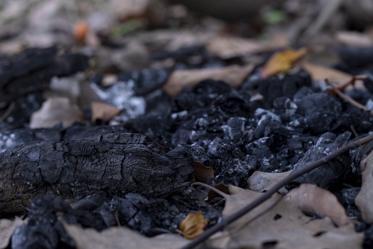 岛民*荒哥 tweet media