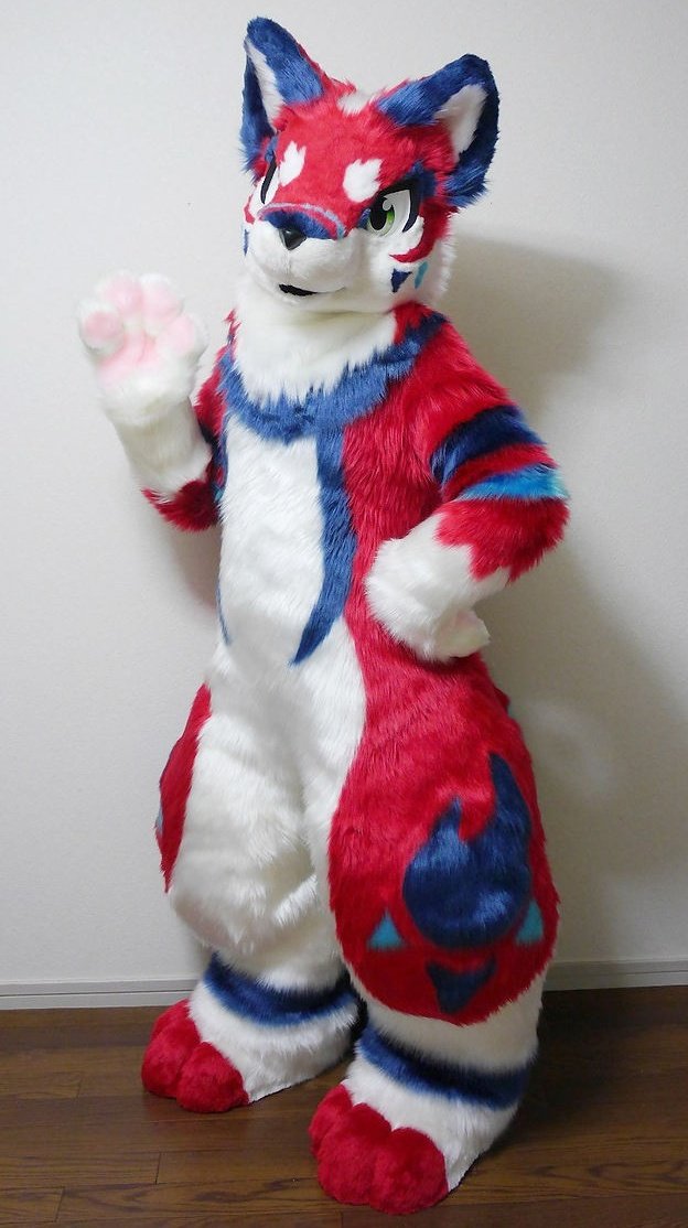 🐾Keda Marche🐾 tweet media