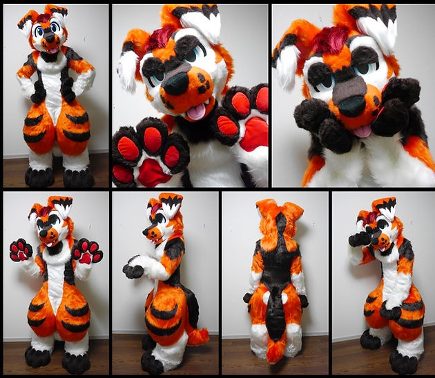 🐾Keda Marche🐾 tweet media