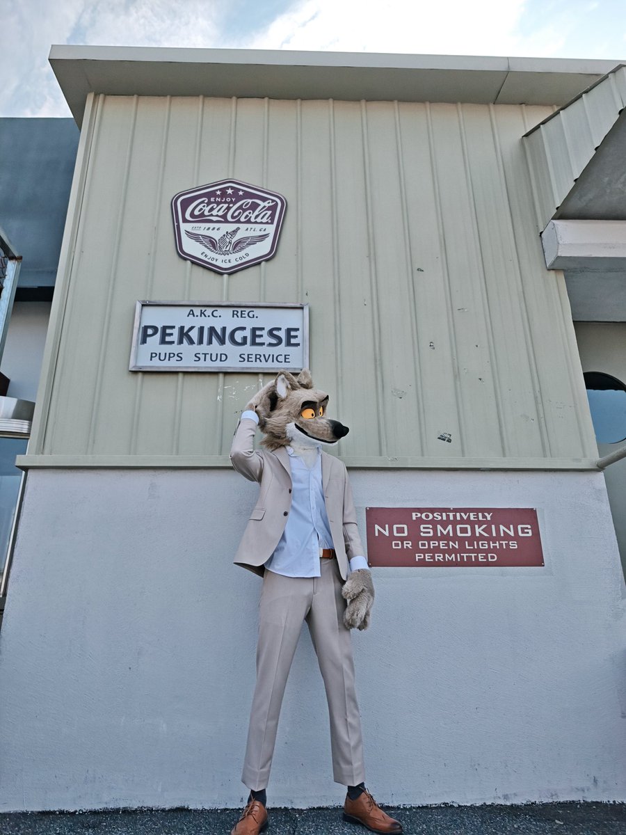 二阶代理Quadratic Proxy tweet media