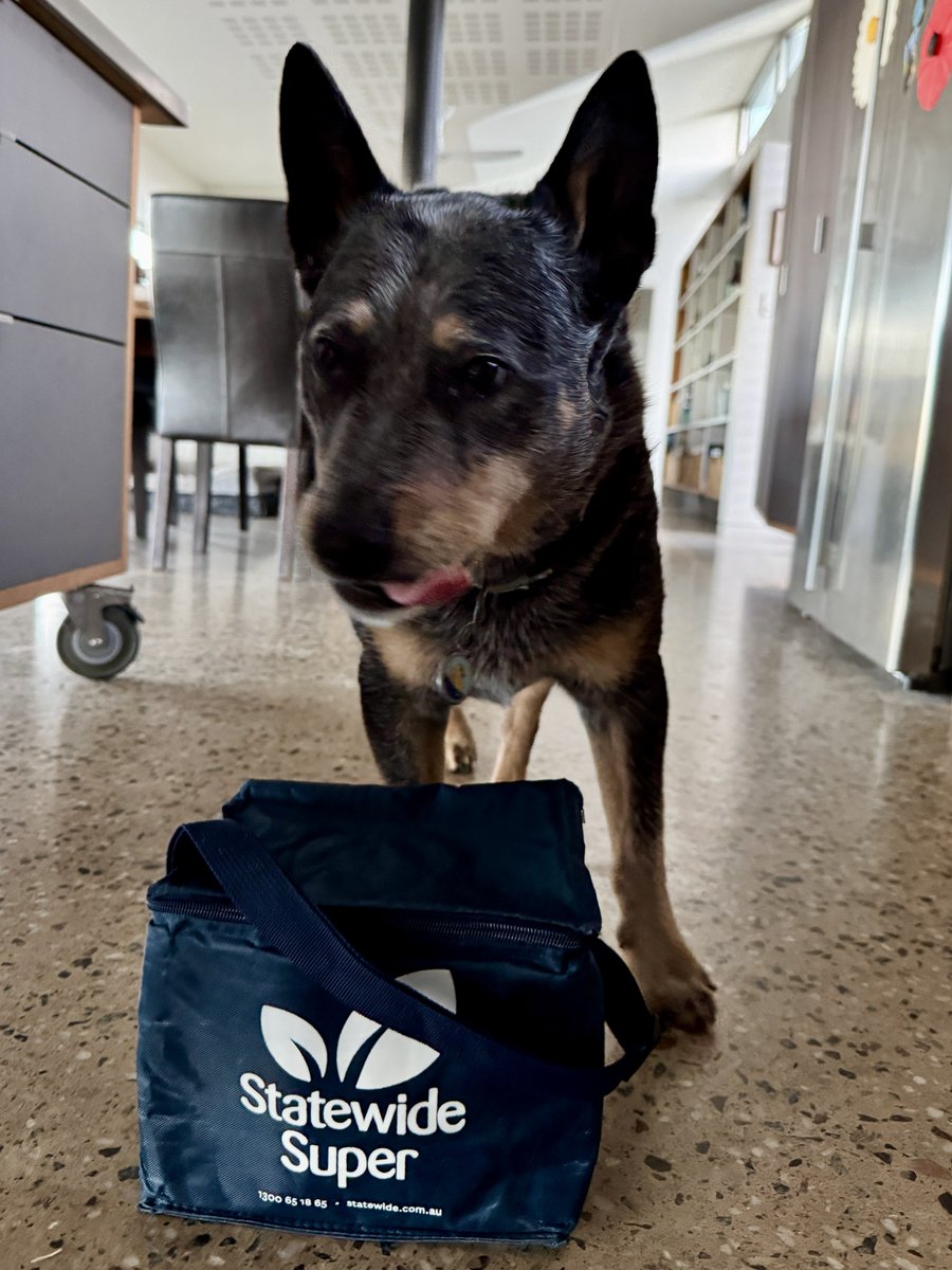 Calliss Clan (@callissclan.bsky.social) tweet media