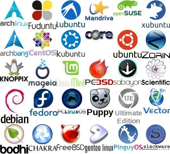 _kunalankur_'s tweet photo. Would you replace macOS with a Linux distro?
If yes, which distro would you choose? https://t.co/9h1AmbuOPz