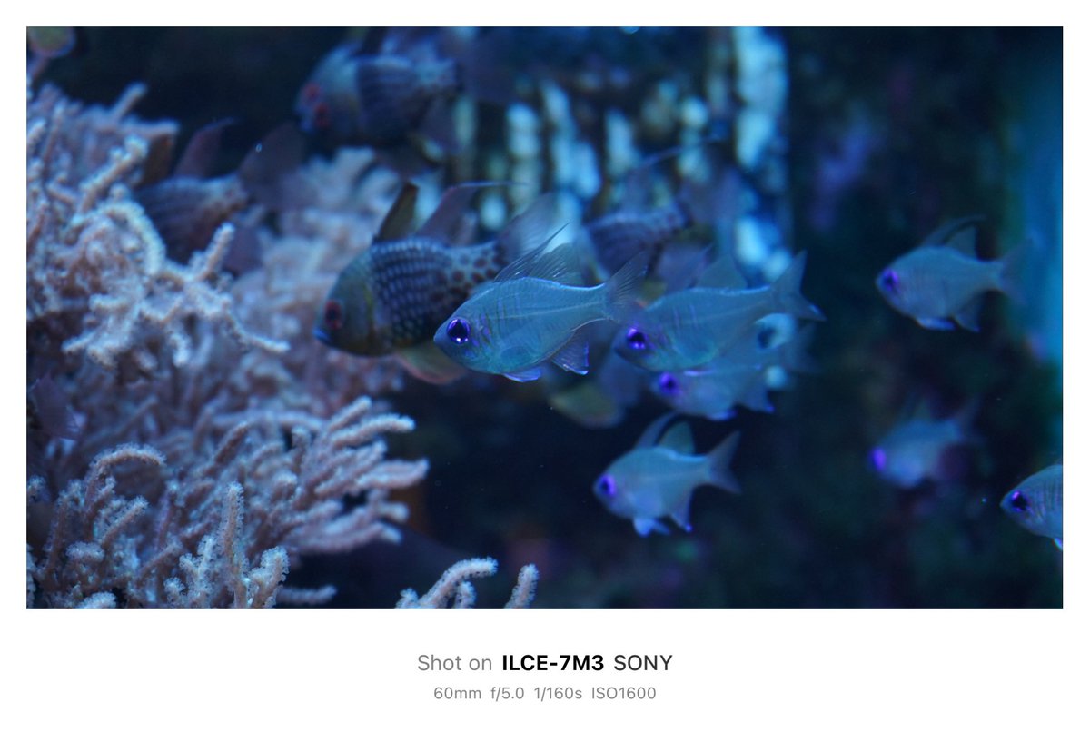 𝙆𝙄𝙍𝙄 (@suzyiesi2) on Twitter photo 