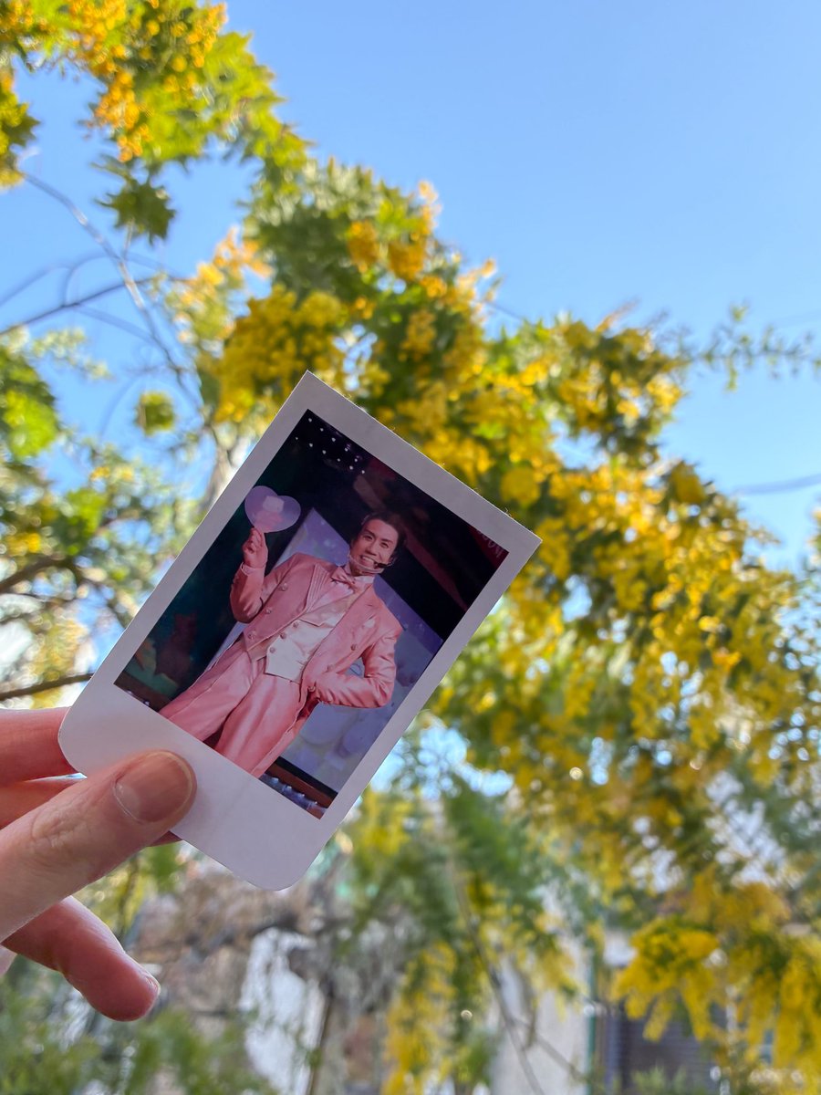 ゆじゅ tweet media