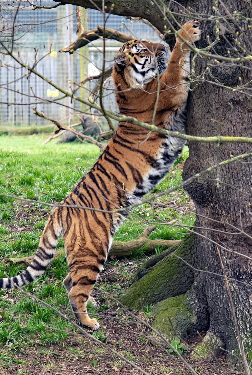 #writers and #authors when you aren’t writing what other #hobbies do you have? Mine is #photography #Books #uk #AMereMortal