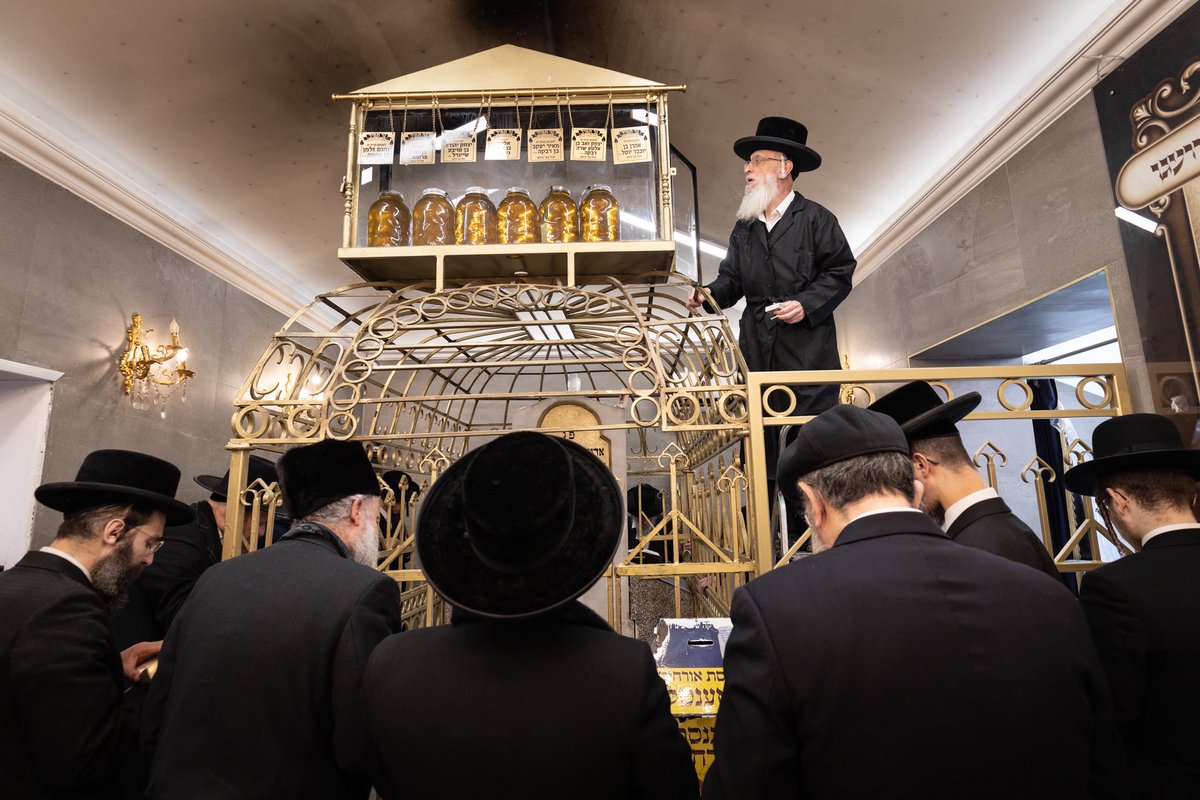 MicNovotny's tweet photo. Hasidic Jews gather in Leżajsk, Poland, for the yahrzeit of Rabbi Elimelech, commemorating his death in 1787. Attendance appears lower this year due to flight disruptions and airspace closures affecting travel from Israel and the Middle East. https://t.co/rL16cB7OUg