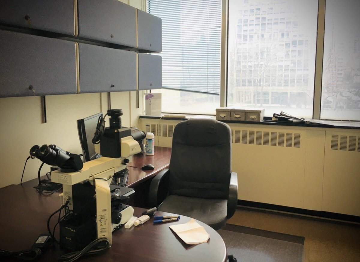 syed t. hoda tweet media