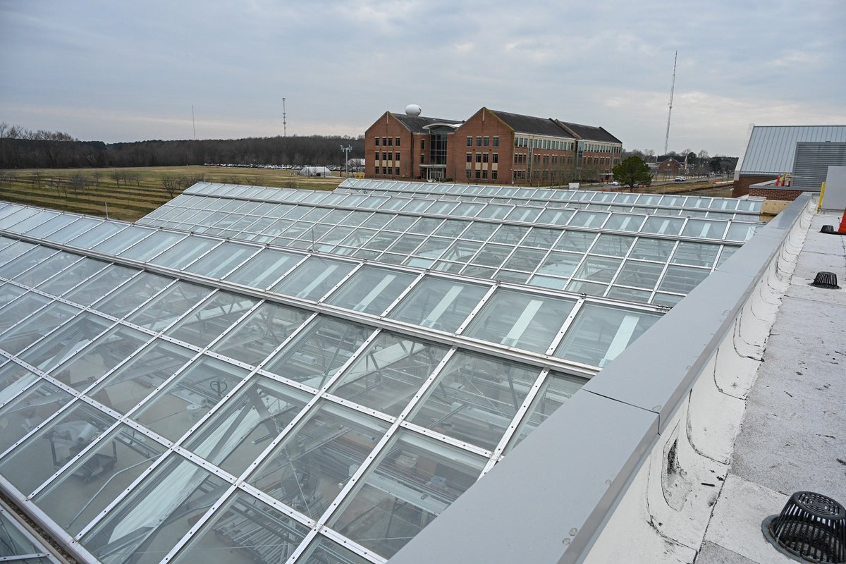 UMES SANS tweet media