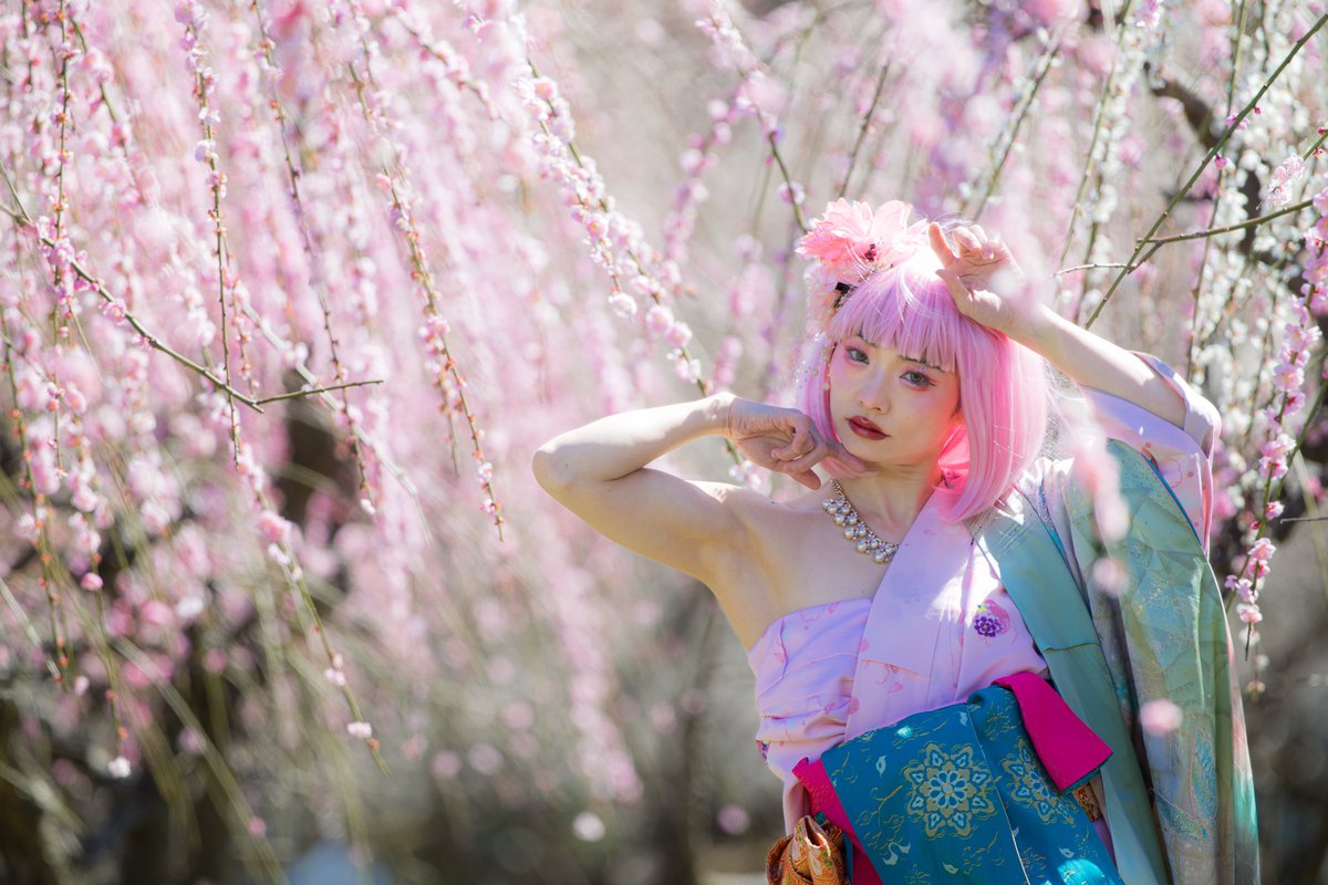 sushi306's tweet photo. 『梅 童女』
@BimageTokyo
#美マージュTokyo #越生 #梅
@tatatataitan #多井子 https://t.co/6E1Bmym9s2