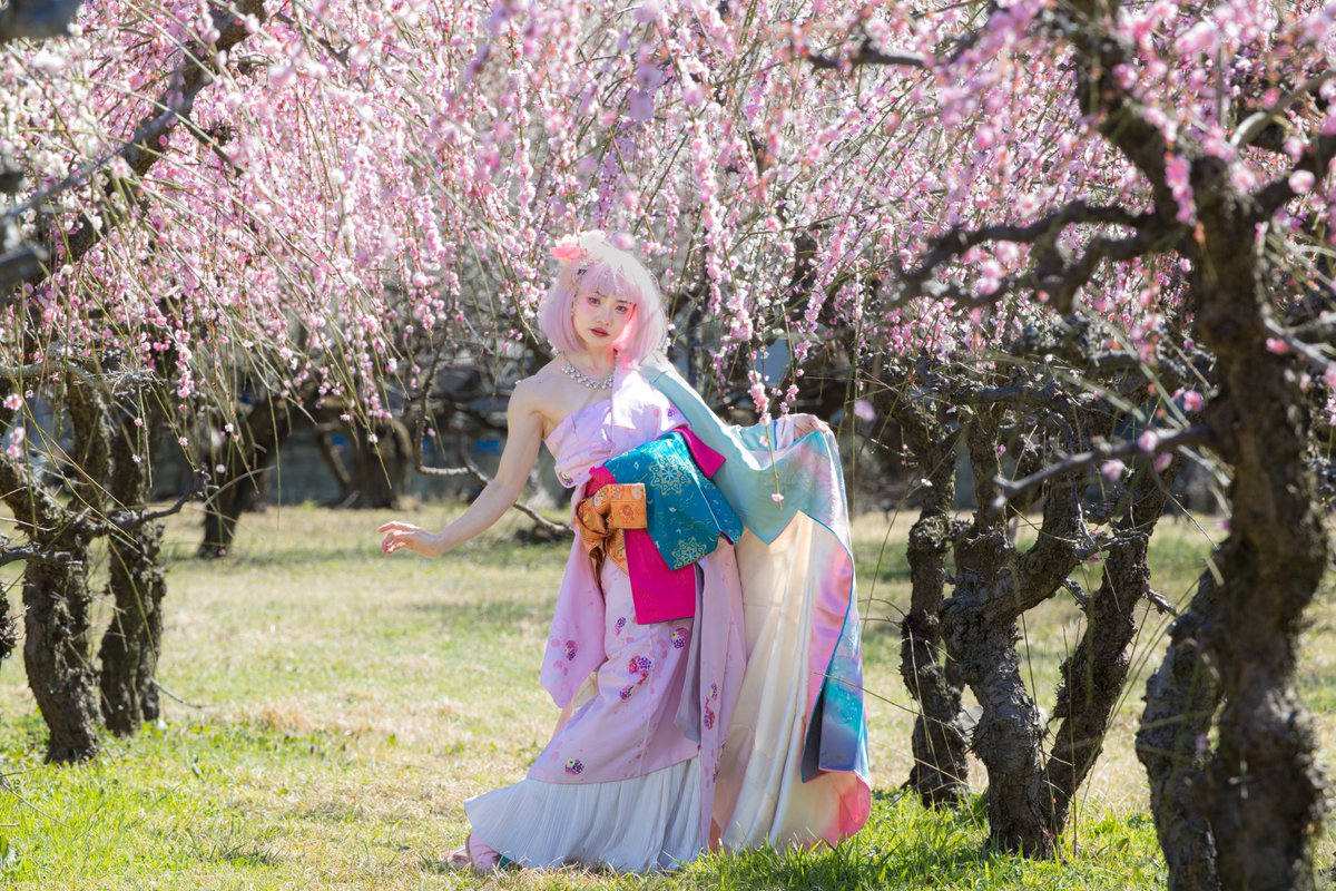 sushi306's tweet photo. 『梅 童女』
@BimageTokyo
#美マージュTokyo #越生 #梅
@tatatataitan #多井子 https://t.co/6E1Bmym9s2